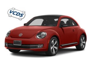 BEETLE (5C)