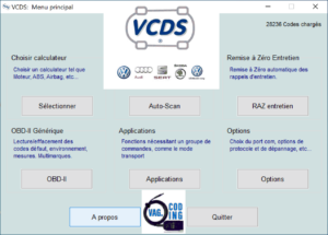 VCDS : Fonctionnement et utilisation